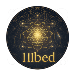 111bed বেতন পদ্ধতির স্ক্রিন ভিউ